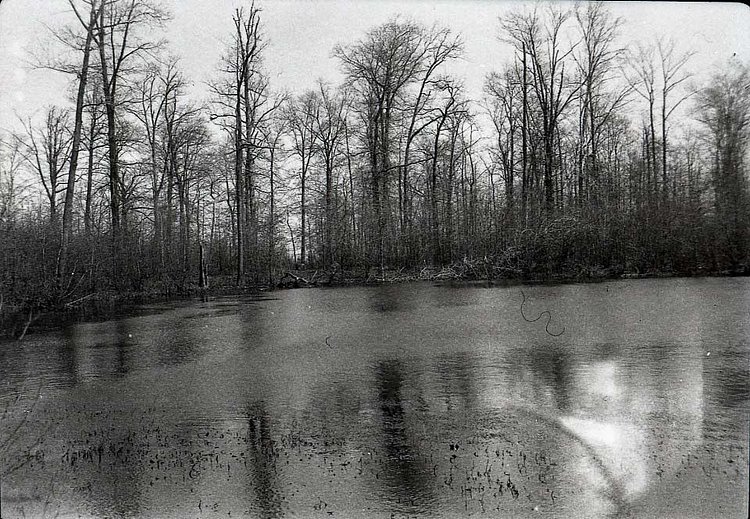Eltingville circa 1939. (From the Collection of the Staten Island Museum)