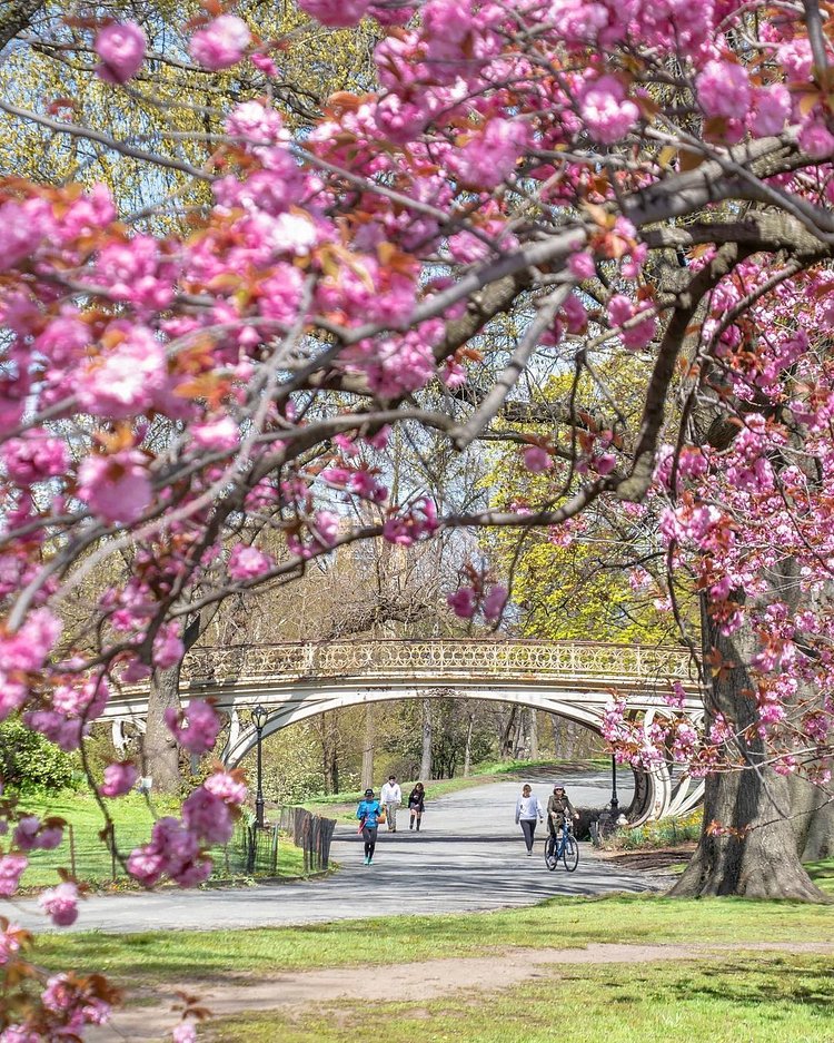 Bridge No. 28 in Central Park, Manhattan