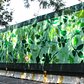Artist Jennifer Maravillas created a mural depicting lush foliage.