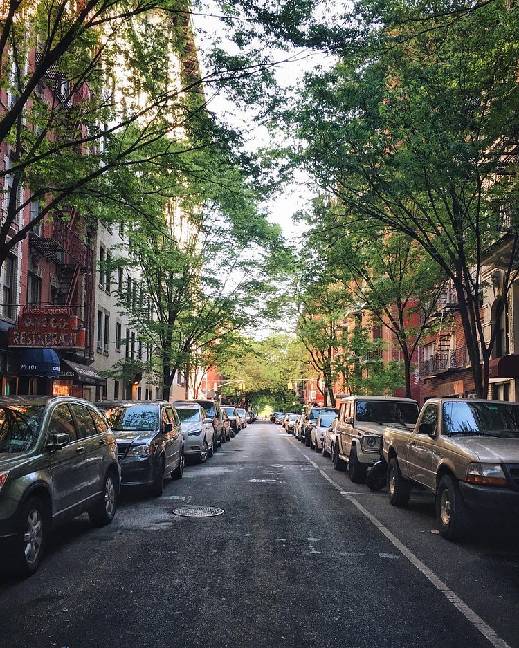 Good morning on this beautiful spring day, from the street where I live.