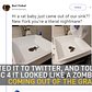 'It Looked Like a Zombie': Rat Climbs Out of Bathroom Sink in NYC Couple's Apartment