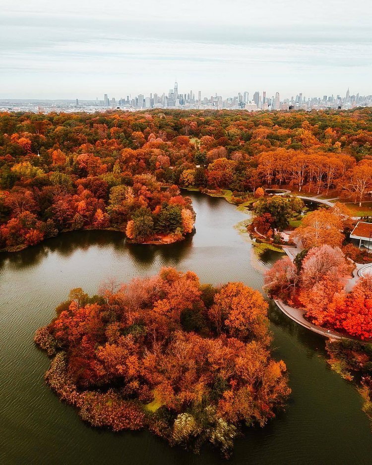 "As the foliage begins to peak in New York, it feels like a whole new city."