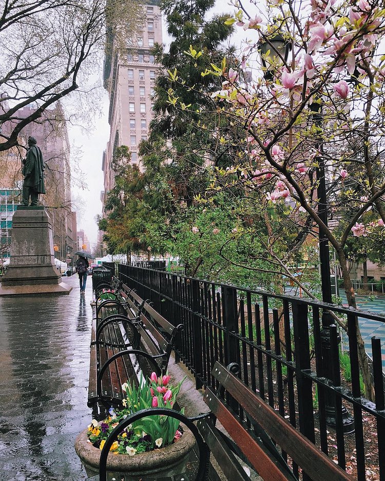 "The first day of spring is one thing, and the first spring day is another. The difference between them is sometimes as great as a month."
~ Henry Van Dyke 
#picturesofnewyork #WHPlightandshadow