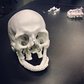 3D printed skull. #zprint