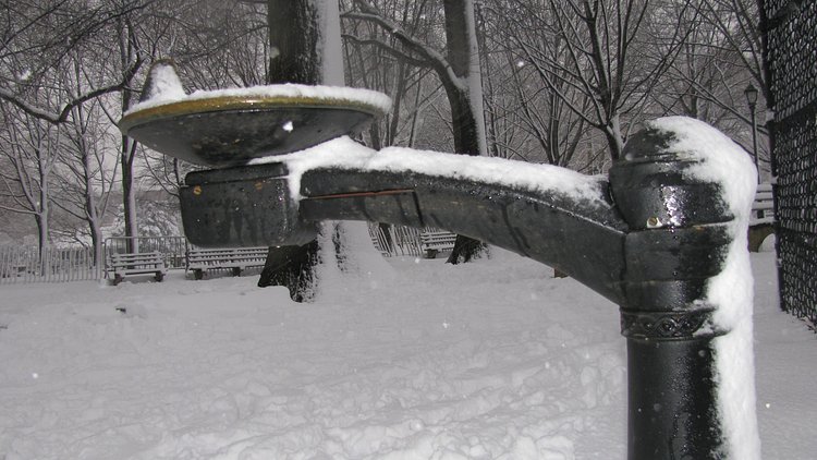 Not freeze resistant