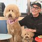 Doodles Visit New York City's First Dog Cafe