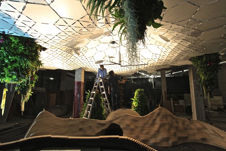 IMG_4061 | Photo by Meg Collins