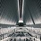 World Trade Center Oculus, Financial District, Manhattan
