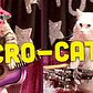 This Lady Started A Cat Circus And It's As Crazy As It Sounds