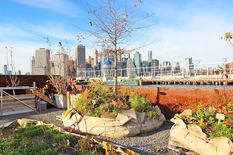 Swale Floating Food Forest