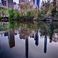 The Pond at Central Park, Manhattan