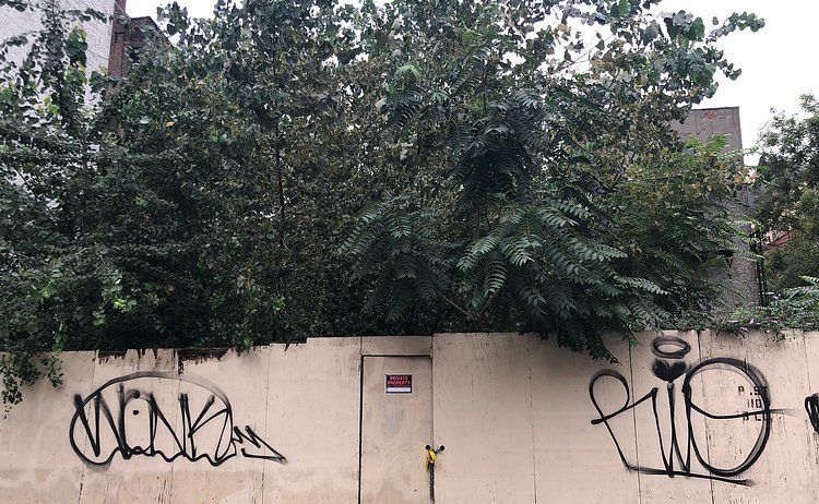 1st Avenue & E 78th St