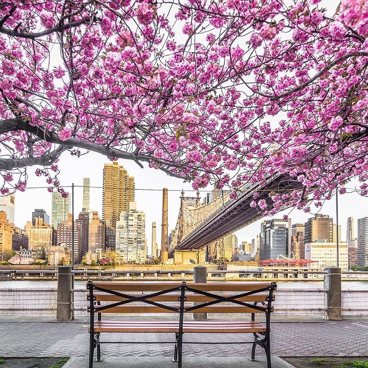 Roosevelt Island, Manhattan