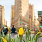 Spring is the season of change. Don't be fooled today!

_
#flatironbuilding #wonderful_places #global_hotshotz #igpodium #topnewyorkphoto #nikonnofilter #igshotz #clickgeardaily #thebest_capture #jaw_dropping_shots #folkcreative #nycprimeshot #igglobalclub #globalcapture #igbest_shotz #newyork_instagram #ig_worldclub #livetravelchannel #photosergereview #awesomeglobe #travelawesome #earthpixco #awesomepix #icapture_nyc #nyloveyou