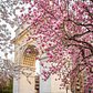 Washington Square Arch, Manhattan. Photo via @rtanphoto #viewingnyc #nyc #newyork #newyorkcity #washingtonsquarepark