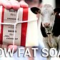 Farm to Shower: Beef Fat Soap