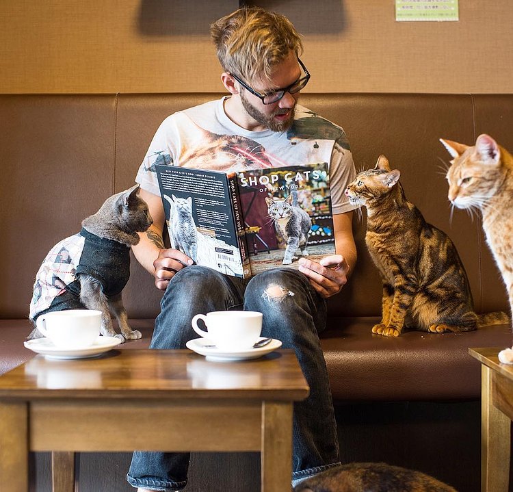 Even the cats like it!