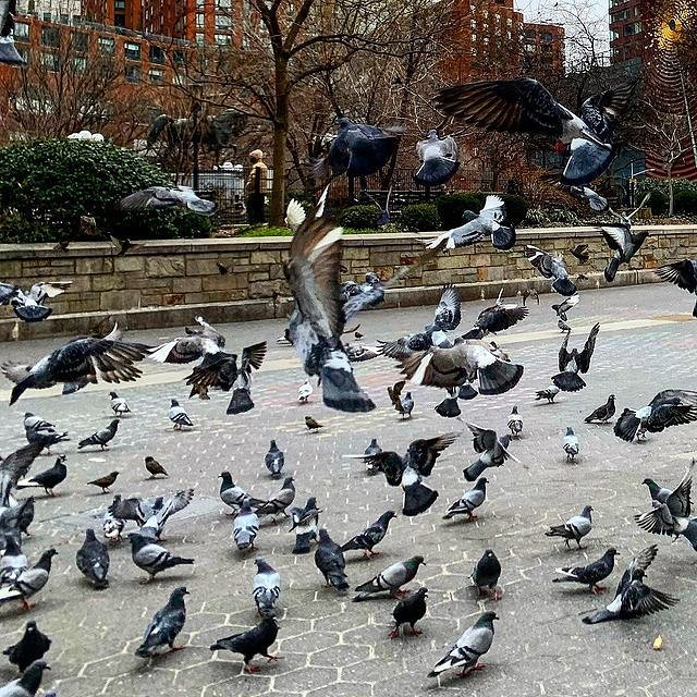 Union Square Park, Manhattan