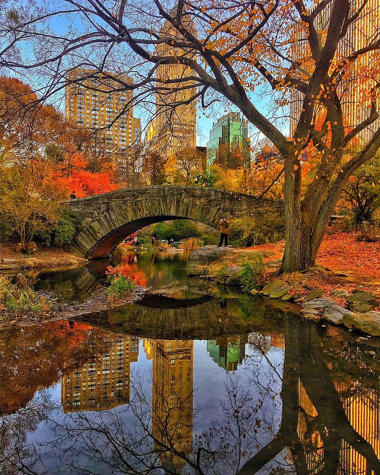 Around the world with me - Manhattan - New York - USA *
****************
🍁🍂🇺🇸✨FALLtastic Colors Reflection - Perfect Autumn day at Central Park - New York is fabulous any season, anytime, anyway - Tag who you'd go to Central Park with *
**********
Please, check out my friends I've tagged here... They are talented photographers, you  won't regret it🍁🍂🇺🇸