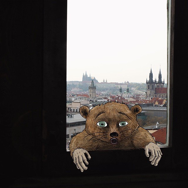 Bye Prague, Hi New York