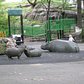 Hippo Playground | This is the cutest park ever.