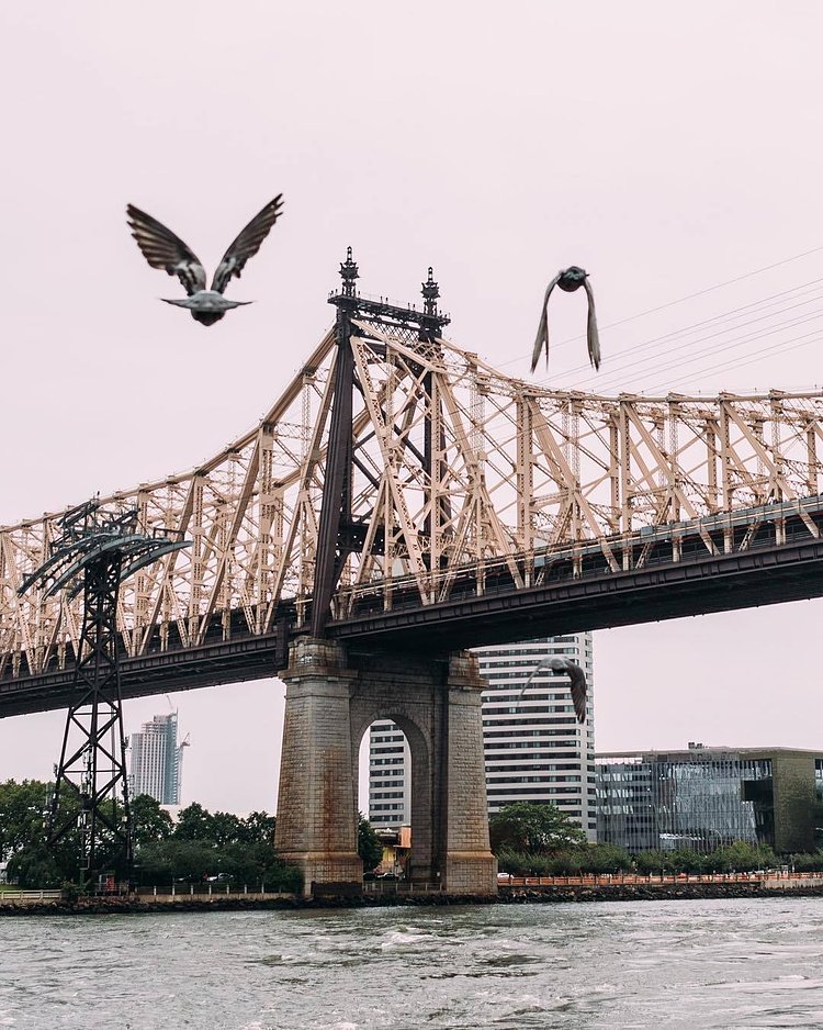 Queensboro Bridge, New York. Photo via @denn_ice #viewingnyc #newyorkcity #newyork #nyc