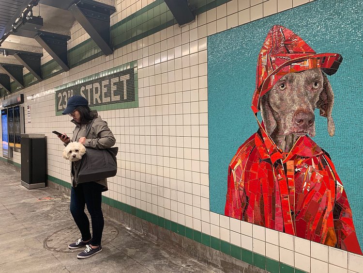 The Newly Reopened 23rd Street F/M Station Has Already Gone To The Dogs