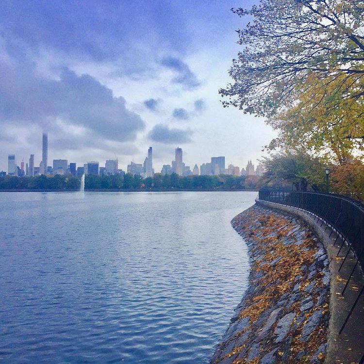 Central Park, New York, New York