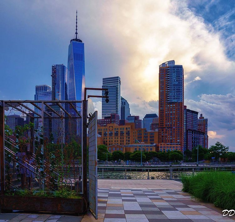 City Vineyard at Pier 26, Tribeca, Manhattan