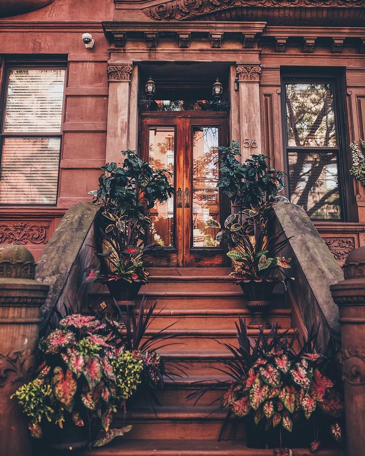 Morning y'all! || Where do you think this beauty is?
🙈 Many thanks to @newyork_instagram for featuring 🙏
.
.
.
.
.
.
.
.
.
.
#AmyGramsP #nycprimeshot #igworldclub #folkcreative #what_i_saw_in_nyc #nycdotgram #abc7 #fatalframes #newyork_instagram #wildnewyork #topnewyorkphoto #newyorklike #welovethiscity #seeyourcity #nybucketlist #icapture_nyc #loves_nyc #ig_nycity #newyorkstream #nycityworld #igmasters #wildnewyork #passionpassport #instagoodmyphoto #chasingemotions #ig_all_americas #ig_global_life  #master_shots #Excellentshots #nycprime_ladies #travelingourplanet