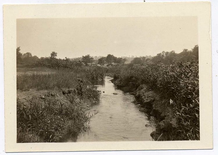 A brook near Britton's Mill Pond on Staten Island. (From the Collection of the Staten Island Museum)