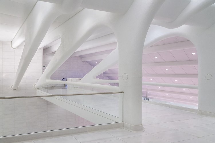 Inside Santiago Calatrava's WTC Transportation Hub in New York