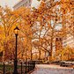 Madison Square Park and Flatiron Building, New York, New York