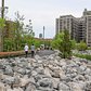 Brooklyn Bridge Park Pier 5 Uplands Green Space