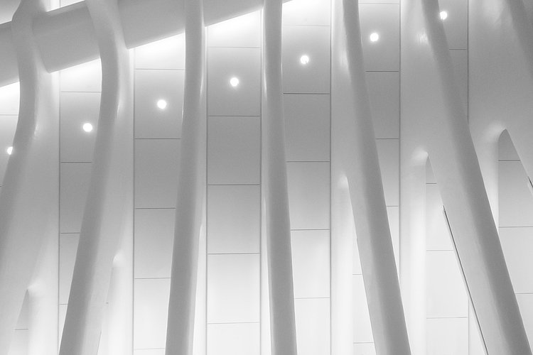 Inside Santiago Calatrava's WTC Transportation Hub in New York