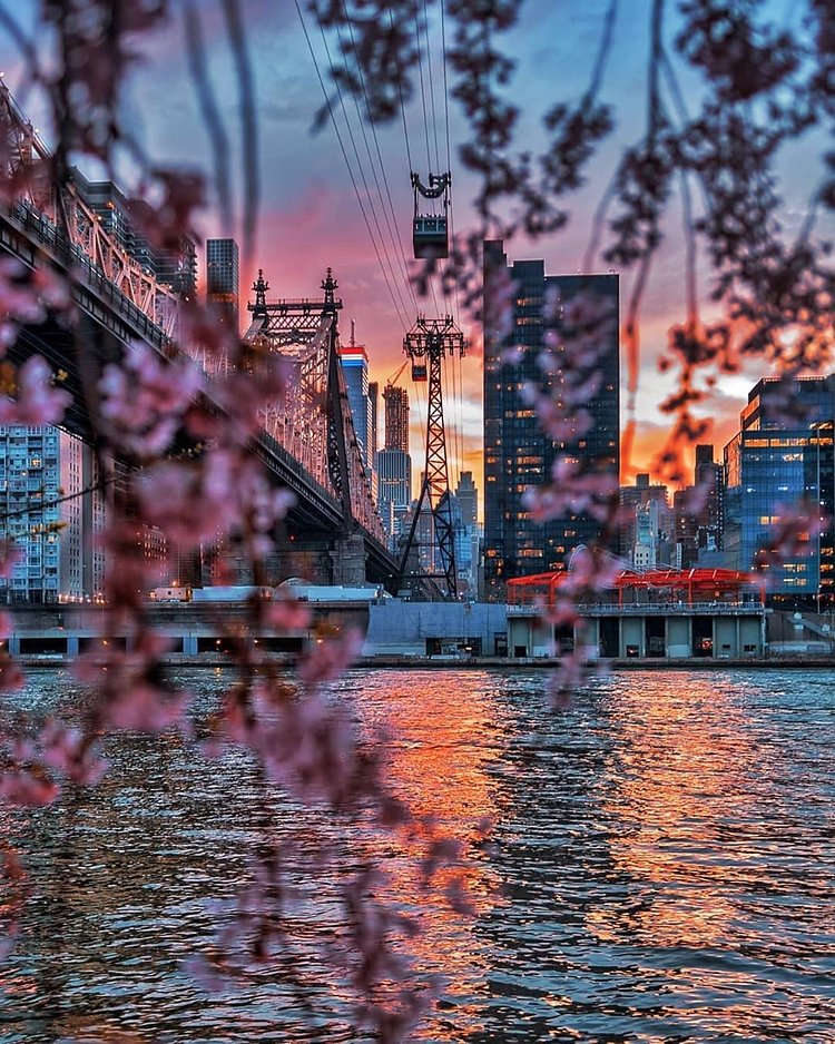 Sunset from Roosevelt Island.