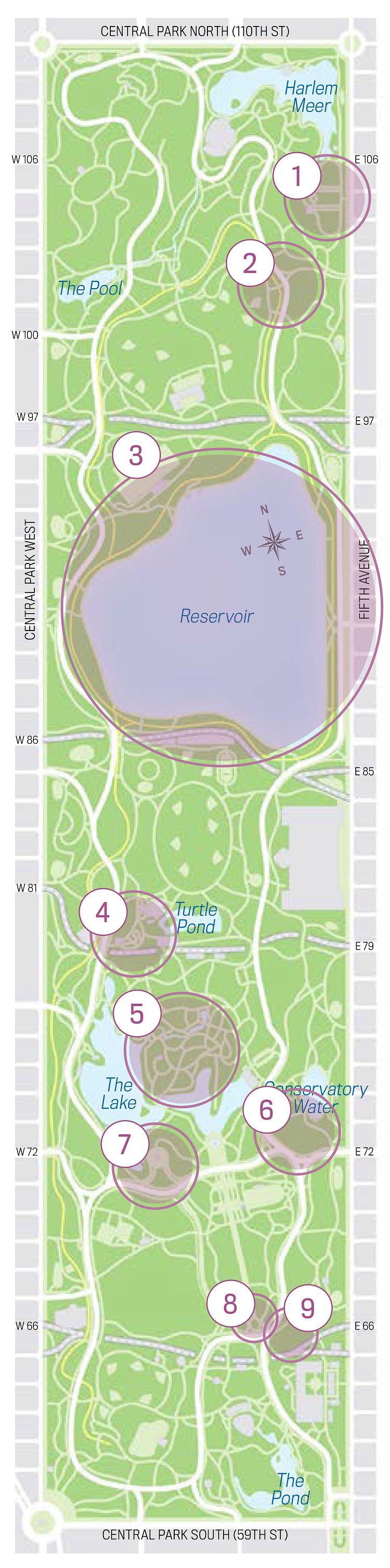 Where to Find Spring Blooms in Central Park