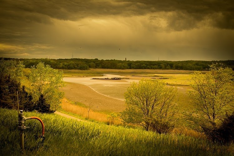 A photo contest entry in the professional category.