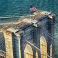 #oldglory soaking up another #nyc sunset atop the #brooklynbridge ©rdp3photography @wingsairheli .. #canon_photos #team_canon #teamcanon #nyc #ny #what_i_saw_in_nyc #nycity #instanyc #picturesofnewyork #colorofnewyork #nyloveyou #photos_of_new_york #photosofnewyork #bridge #bridgephotography #sunset #america #newyork #icapture_nyc #topnewyorkphoto #nycinstagram #thecreatorclass #illgrammers #artofvisuals #heatercentral #meistershots #nycityworld