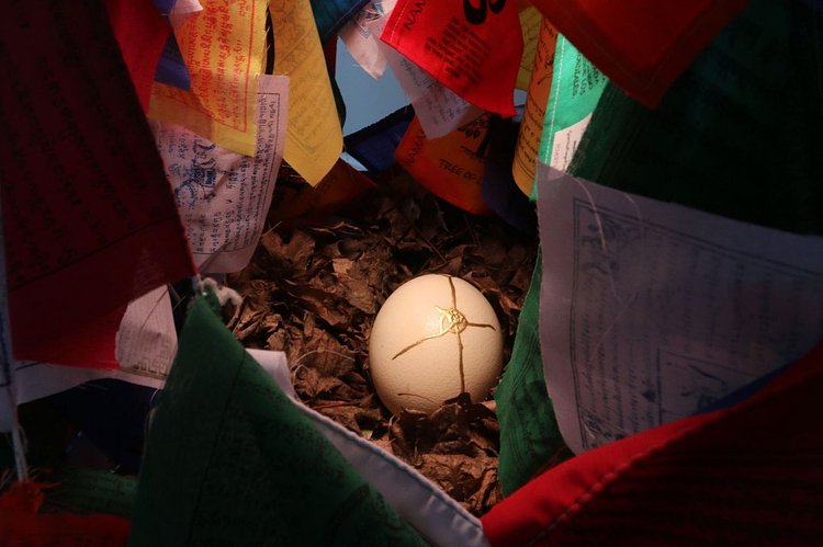 Inside an installation by TJ Volonis inside the Eutopia exhibition at Snug Harbor Cultural Center and Botanical Gardens.