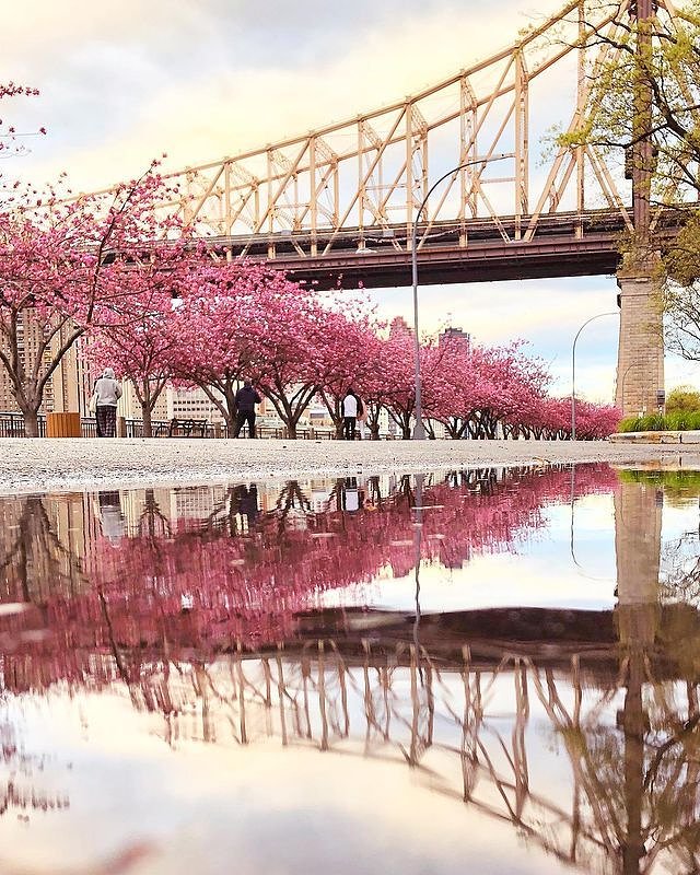 Roosevelt Island, Manhattan