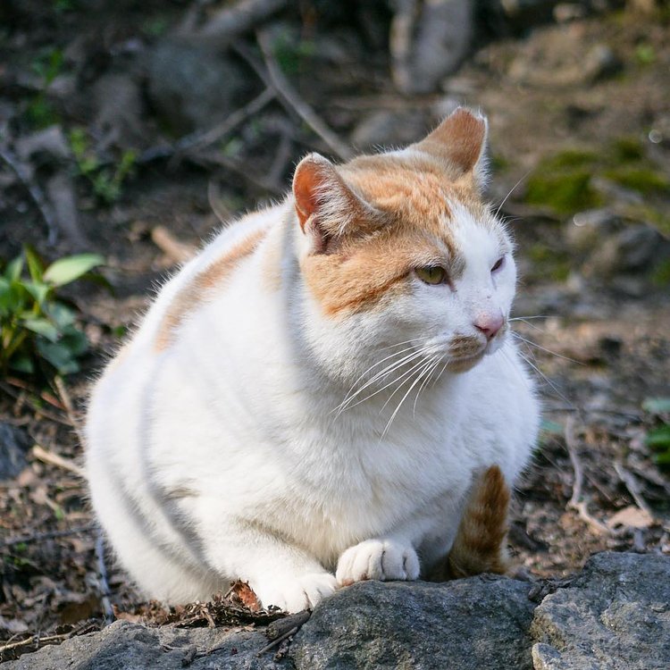 “I tried running off to Florida a few years ago.“ “How long did you live there?” “I didn’t even make it below 110th. A friend told me there was a lot of water in Florida so I turned around. Fuck that. Fuck water.” - Randall, Morningside Park