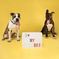 Nothing beats a fun time out with your BFF! Tix go on sale MONDAY for @humansbf 🐾 Can’t wait to hang with you and your bestie!🐕 📸: BFFs Ray Ray and Jackson #humansbf
