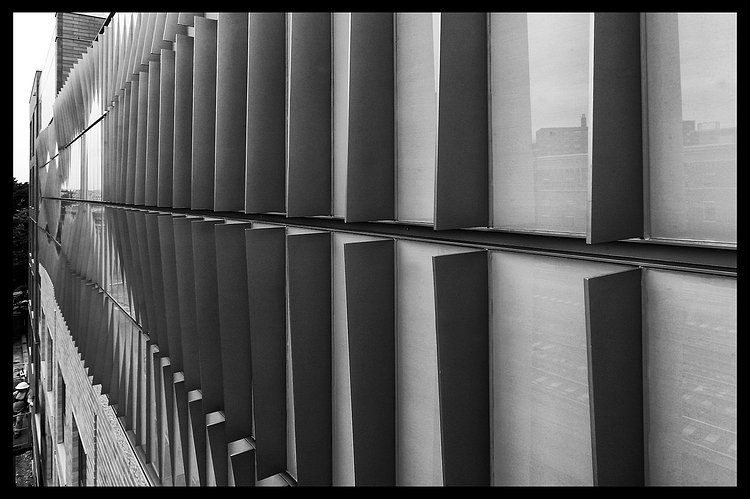 ‘Park Avenue Artwall.’