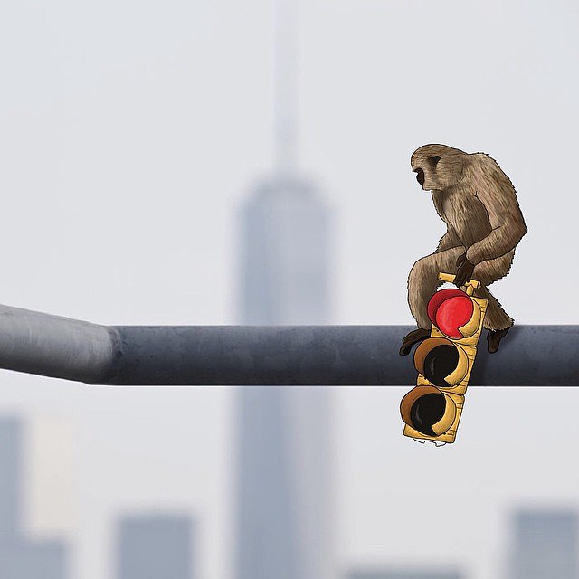 🙈 in action 💥 Photo by @artboy11211