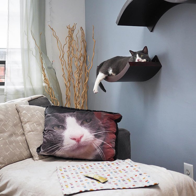 “You have to remind yourself of who you are every so often.” “Is that why you have a pillow with your face on it?” “No, but it helps.” - Petie, Gramercy