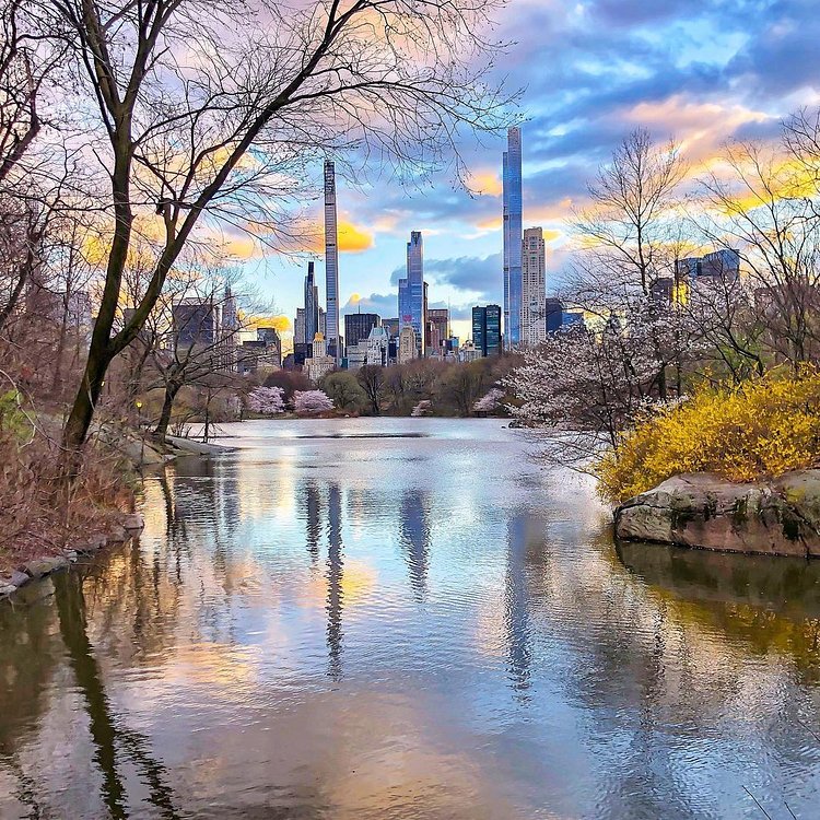 The Lake, Central Park, Manhattan