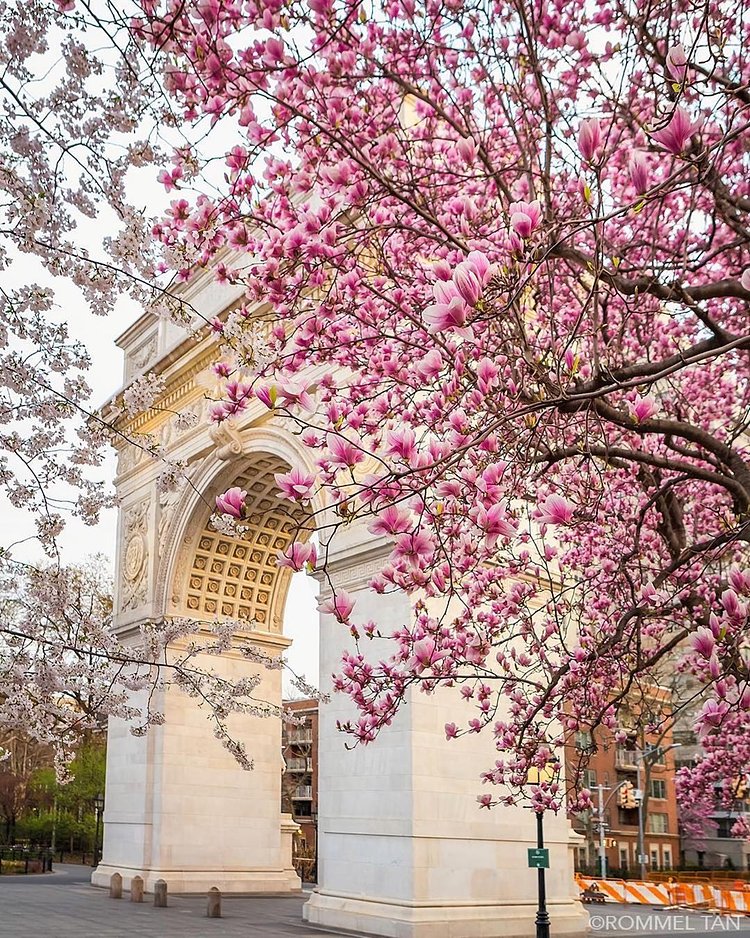 Washington Square Arch, Manhattan. Photo via @rtanphoto #viewingnyc #nyc #newyork #newyorkcity #washingtonsquarepark