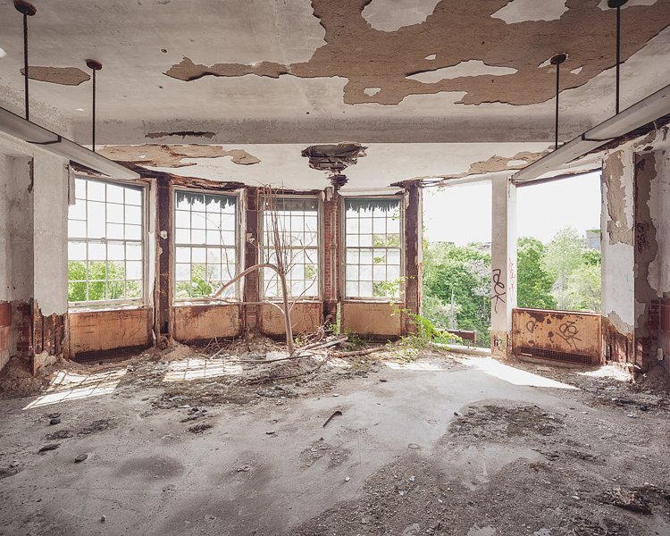Saplings take root in a light-filled solarium on the top floor.