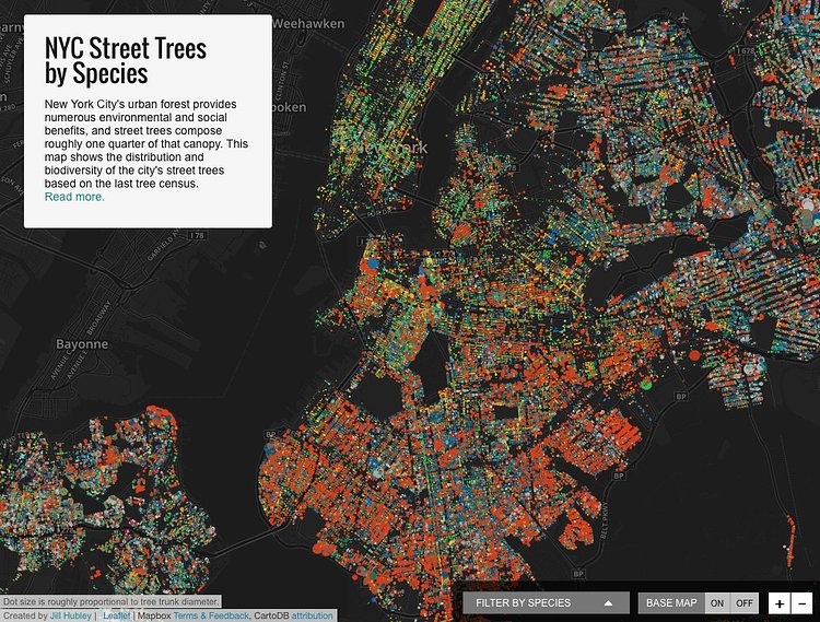 NYC Street Trees by Species